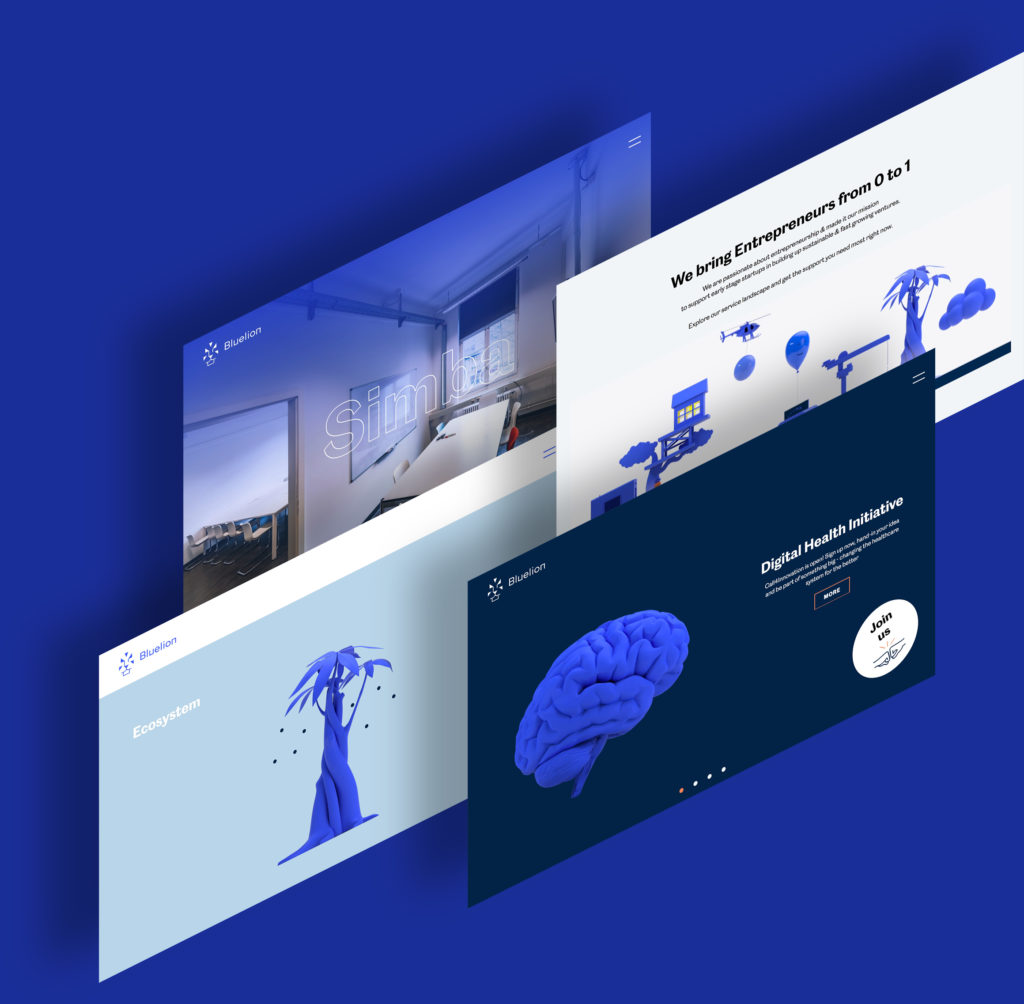 Bluelion, non-profit incubator & accelerator based in Zurich. - Official Website Development by Greatives Web