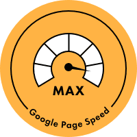 Google Page Speed 100%